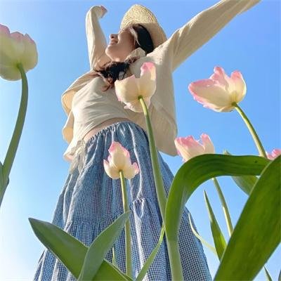 齐姆与友